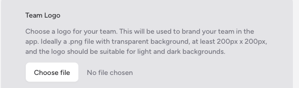 Screenshot: The Team Logo section showing the file input field ready for upload, with the description text visible